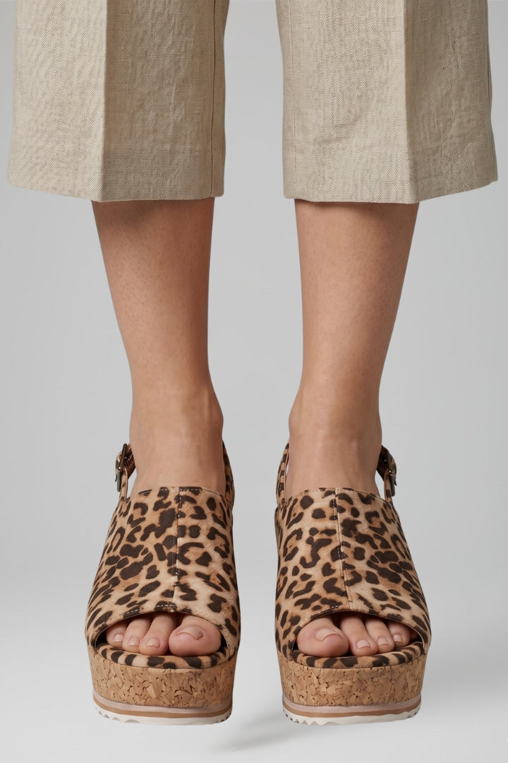 Brown Leopard